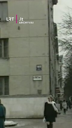 Romantiškasis gaidys ar tikslusis šveicaras? Apie ką čia? 1995 m.