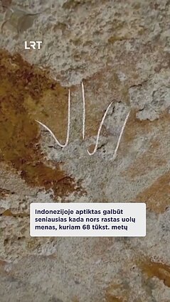 Indonezijoje aptiktas seniausias šiuo metu žinomas uolų menas