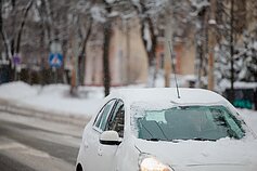 Snygis Vilniuje Snygis Vilniuje