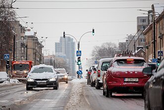 Snygis Vilniuje Snygis Vilniuje