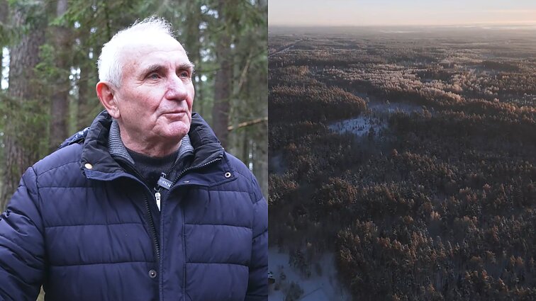 Pakarklės mišką nuo iškirtimo ginantys žmonės: bėda, kai yra daugiau valdžios nei proto