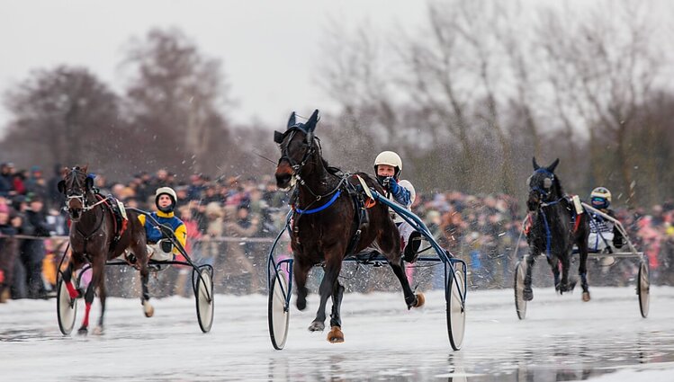 Sportas. Orai (su vertimu į gestų k.)