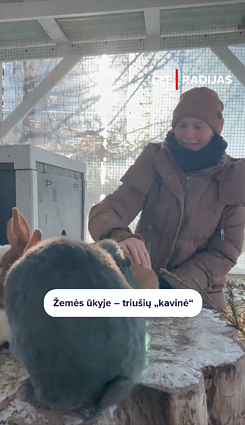 Žemės ūkyje – triušių „kavinė“