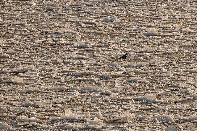 Frozen river