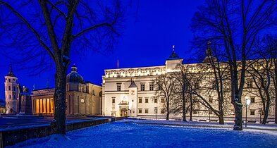 Valdovų rūmai Valdovų rūmai