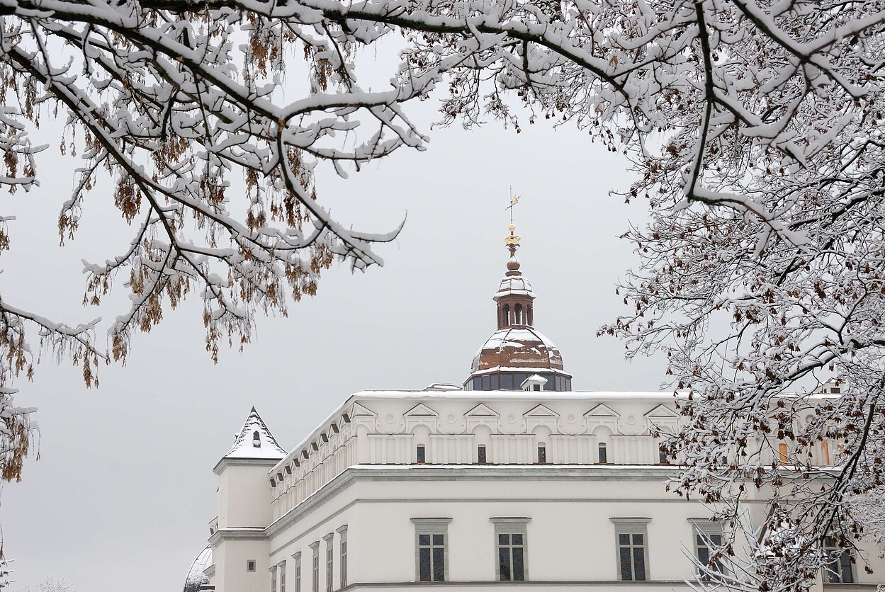 Valdovų rūmai Valdovų rūmai