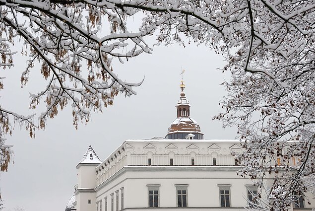 Valdovų rūmai Valdovų rūmai