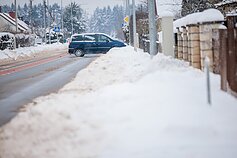 Žiema