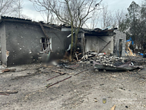 Rusams atakavus gyvūnų prieglaudą žuvo 15 šunų 