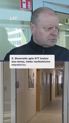 Atliktos kratos Skvernelio ir Starkevičiaus kabinetuose