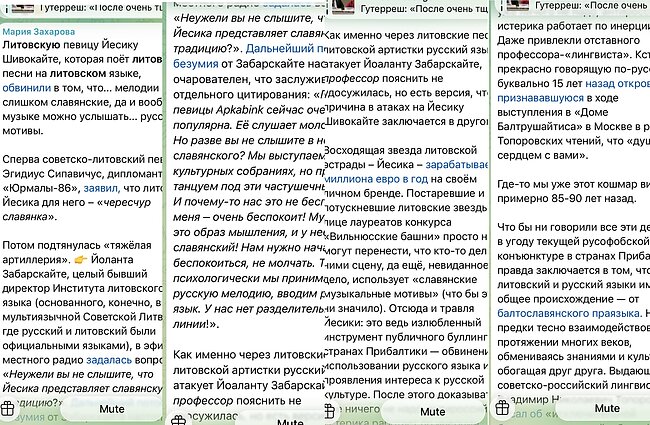 M. Zacharova savo „Telegram“ paskyroje teigė, kad Lietuvoje neva „rusofobiškas klimatas“