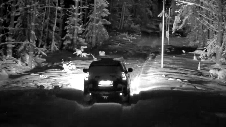 Pasieniečiai sulaikė alytiškį, atvykusį pasiimti balionu atskraidinto cigarečių krovinio