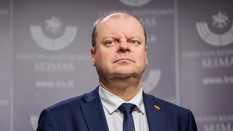 Damulytė: demokratai labai rizikuoja pasikliaudami versija, kurią pateikia Skvernelis