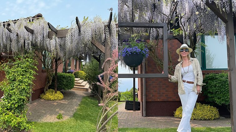 Įspūdingą visteriją auginanti Žaneta per šalnas dėl jos budi naktimis: tenka kurti laužus