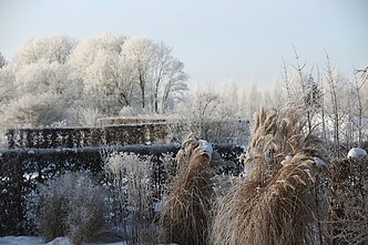Auksės Dobilienės sodyba žiemą Auksės Dobilienės sodyba žiemą