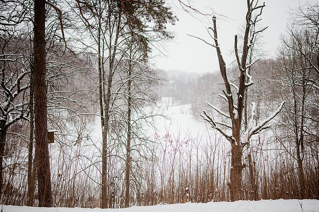 Ilgajam savaitgaliui nakvynės vietų kurortuose beveik neliko: rasti vietų beveik neįmanoma