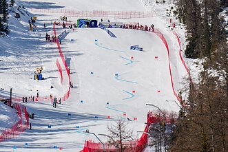 Neringa Stepanauskaitė Neringa Stepanauskaitė
