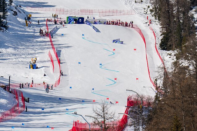 Neringa Stepanauskaitė Neringa Stepanauskaitė