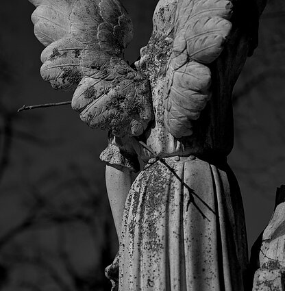 Sigito Parulskio fotografija