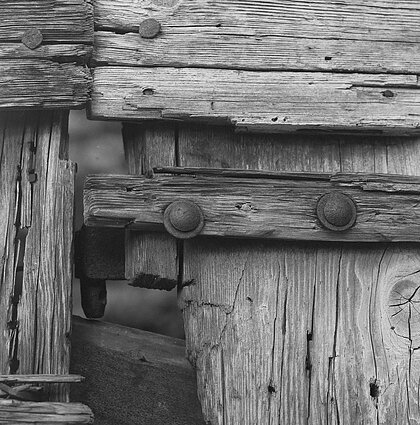 Sigito Parulskio fotografija