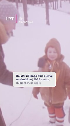 Kol dar už lango tikra žiema, nusikelkime į 1988 metus, kuomet trūko rogių