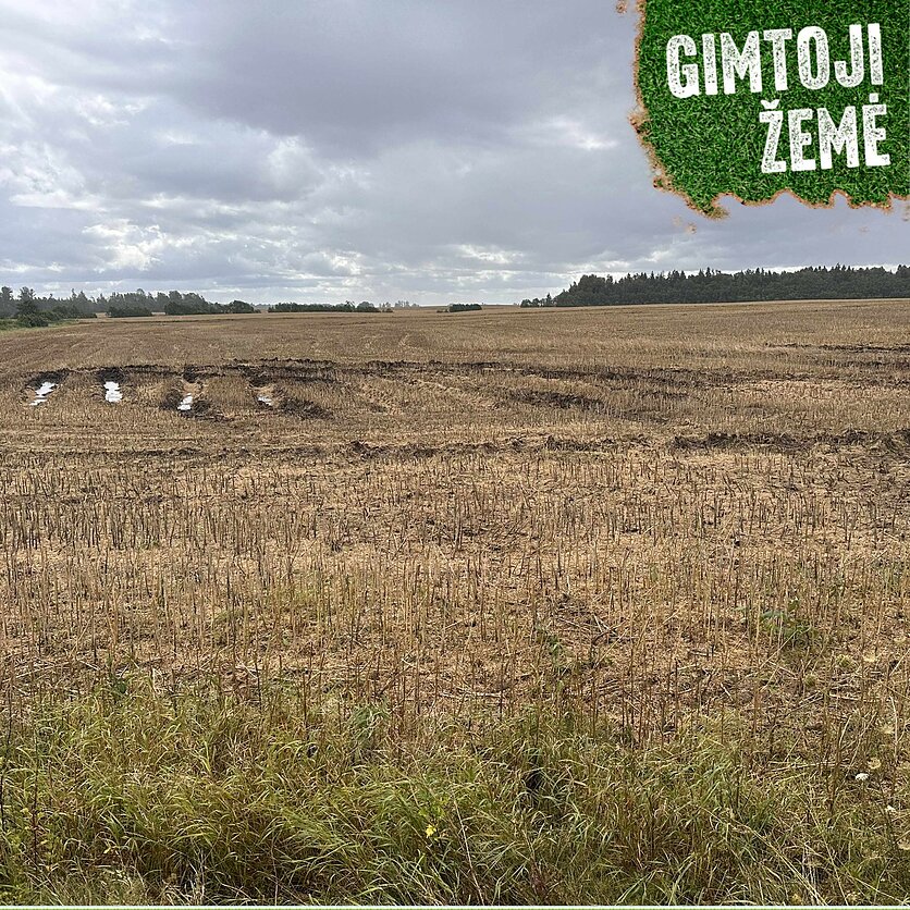 K.Toleikienės nuotrauka., Valstybinės žemės kainos ūkininkams neįkandamos.