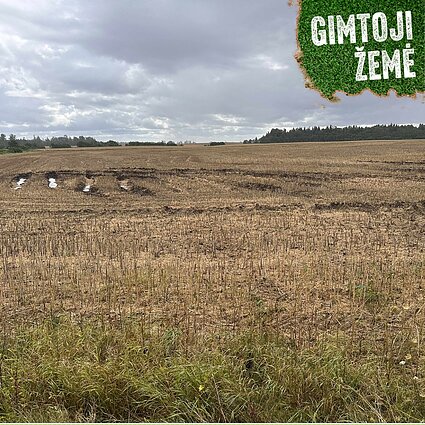 Valstybinės žemės kainos ūkininkams neįkandamos.