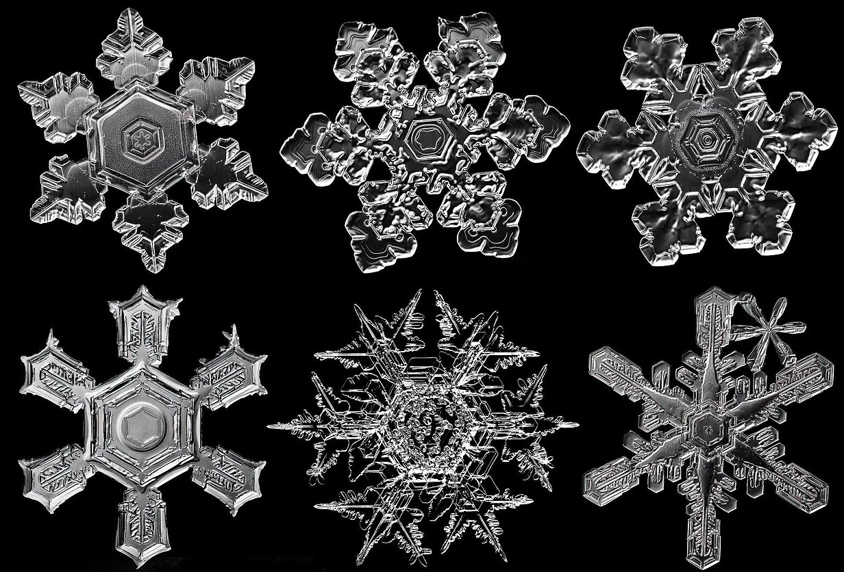 Snowflakes Snowflakes