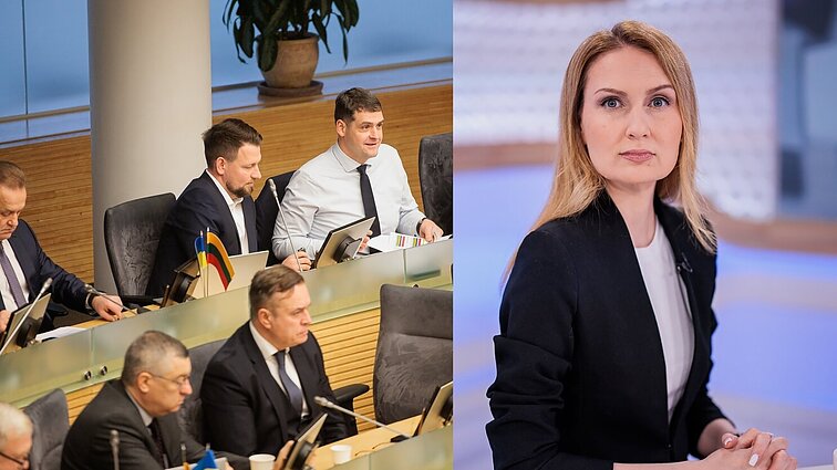 Urbonaitė apie „Nemuno aušrai“ mestus kaltinimus dėl skaidrumo: turi būti įstatymo botagas