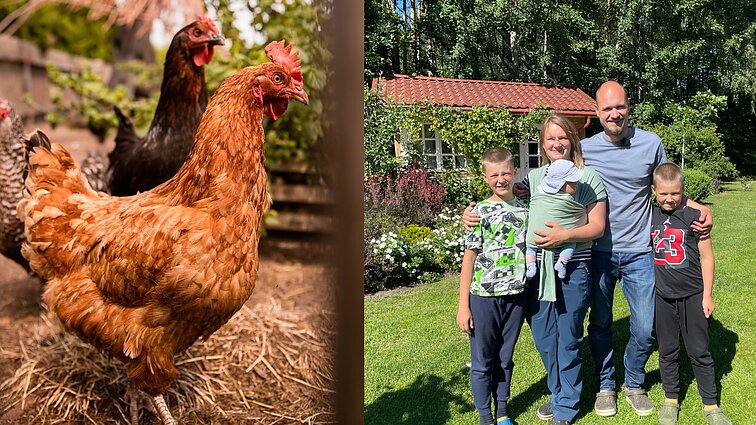 Ūkininkai Kaučikai patarė, kaip atgaivinti nederlingą žemę: įkurkite perkeliamą vištidę