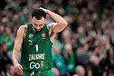Nigelas Williamsas-Gossas. Eurolyga: Kauno „Žalgiris“ – Pirėjo „Olympiakos“