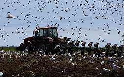 Беларусь. Сельское хозяйство (Ассоциативное фото)