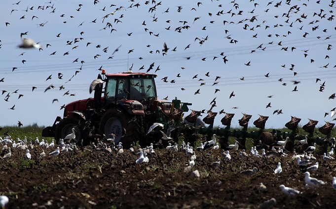 Беларусь. Сельское хозяйство (Ассоциативное фото)