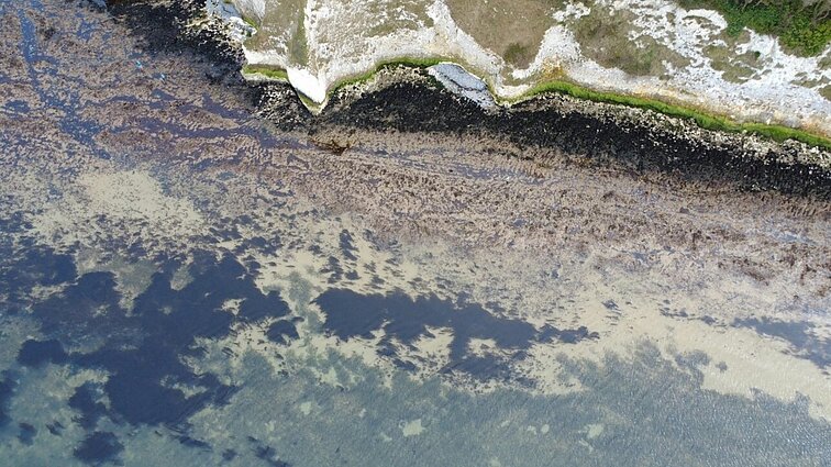 Strėvos upėje – naftos produktų tarša: aplinkosaugininkai ieško kaltininko