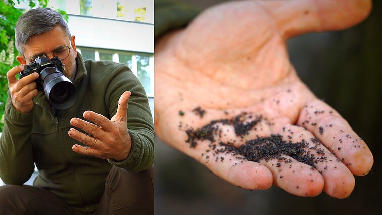 Itin keistai besielgiančius amarus aptikęs Čepulis: galima ir kalbos dovaną prarasti