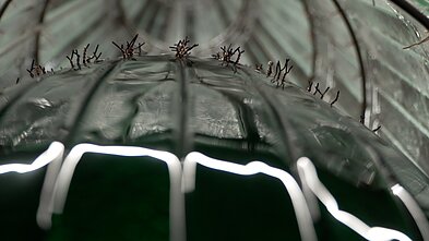 Stiklo paroda Panevėžyje 