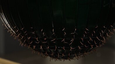 Stiklo paroda Panevėžyje 