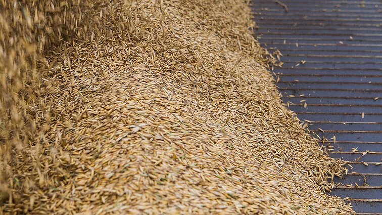 Dėl dujų kainų šuolio brangsta ir azoto trąšos: jų trūksta, kai kur stabdoma prekyba