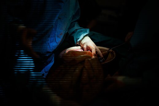 Operacinės parengties pratybos „Medic Guardian 2026“