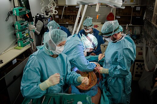 Operacinės parengties pratybos „Medic Guardian 2026“