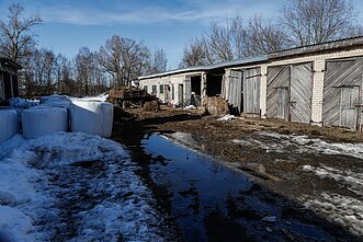 Iš ūkininko M. Diliauto ūkio išvežtos 33 karvės ir telyčios