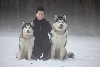 Gintarė ir jos Aliaskos malamutai Gintarė ir jos Aliaskos malamutai
