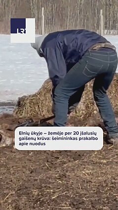Elnių ūkyje – žemėje per 20 įšalusių gaišenų krūva: šeimininkas prakalbo apie nuodus