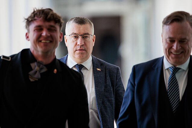 Aušriečiai, Tomas Domarkas