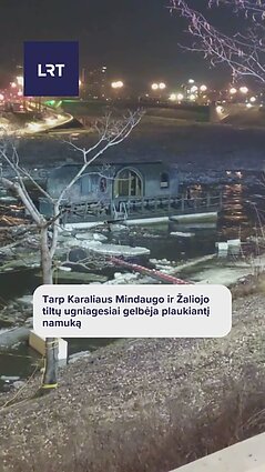 Tarp Karaliaus Mindaugo ir Žaliojo tiltų ugniagesiai gelbėja plaukiantį namuką