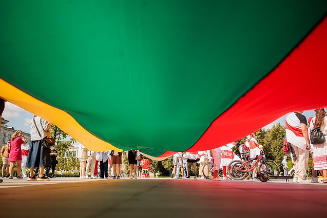 Lietuvos pasiekimus aptarę ekspertai: žmogus, kuris mokosi, gali visko pasiekti Lietuvoje
