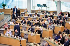 Seimas Seimas