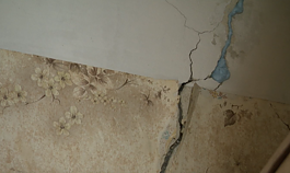 Situacija Polocko g. 24