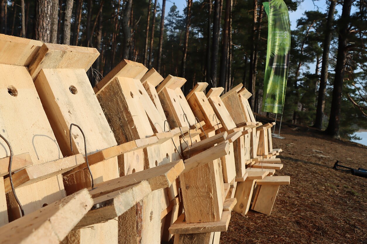 Valstybinių miškų urėdijos organizuojama kasmetinė šventė „Paukščiai grįžta namo“ Valstybinių miškų urėdijos organizuojama kasmetinė šventė „Paukščiai grįžta namo“