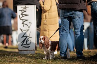 Šv. Patriko dienos proga Užupis nusidažė žaliai